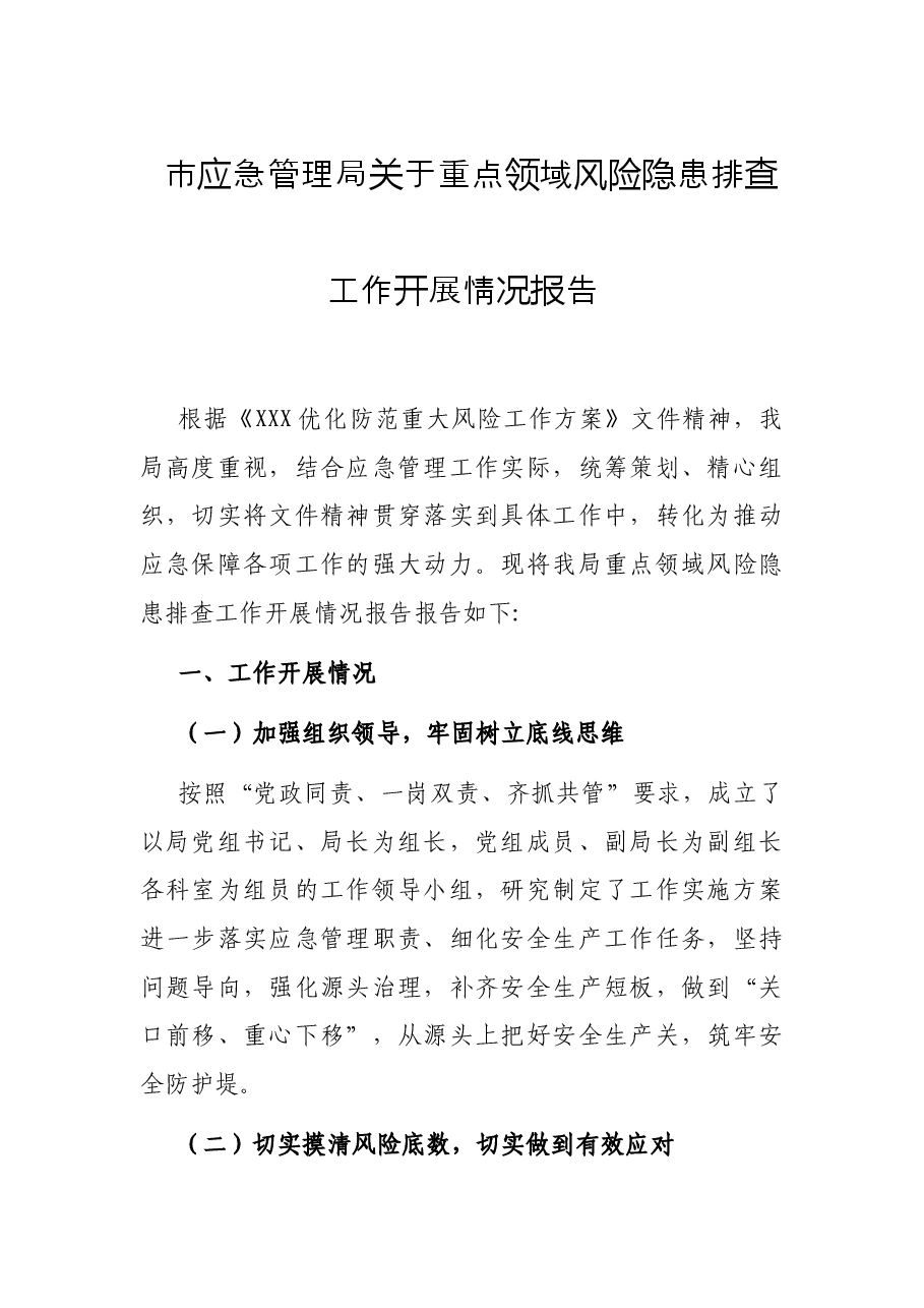 市应急管理局关于重点领域风险隐患排查工作开展情况报告.docx,第1页预览