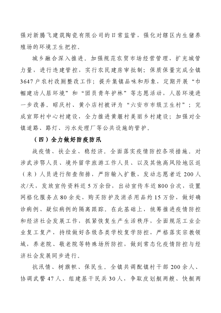 乡镇政府工作报告.docx,第4页预览