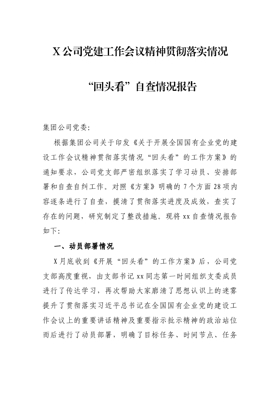 X公司党建工精神贯彻落实情况“回头看”自查情况报告.docx,第1页预览
