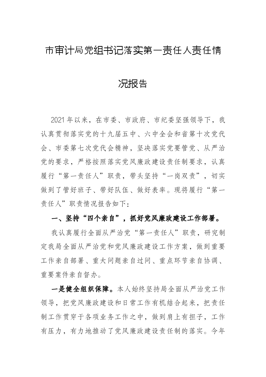 市审计局党组书记落实第一责任人责任情况报告.docx,第1页预览