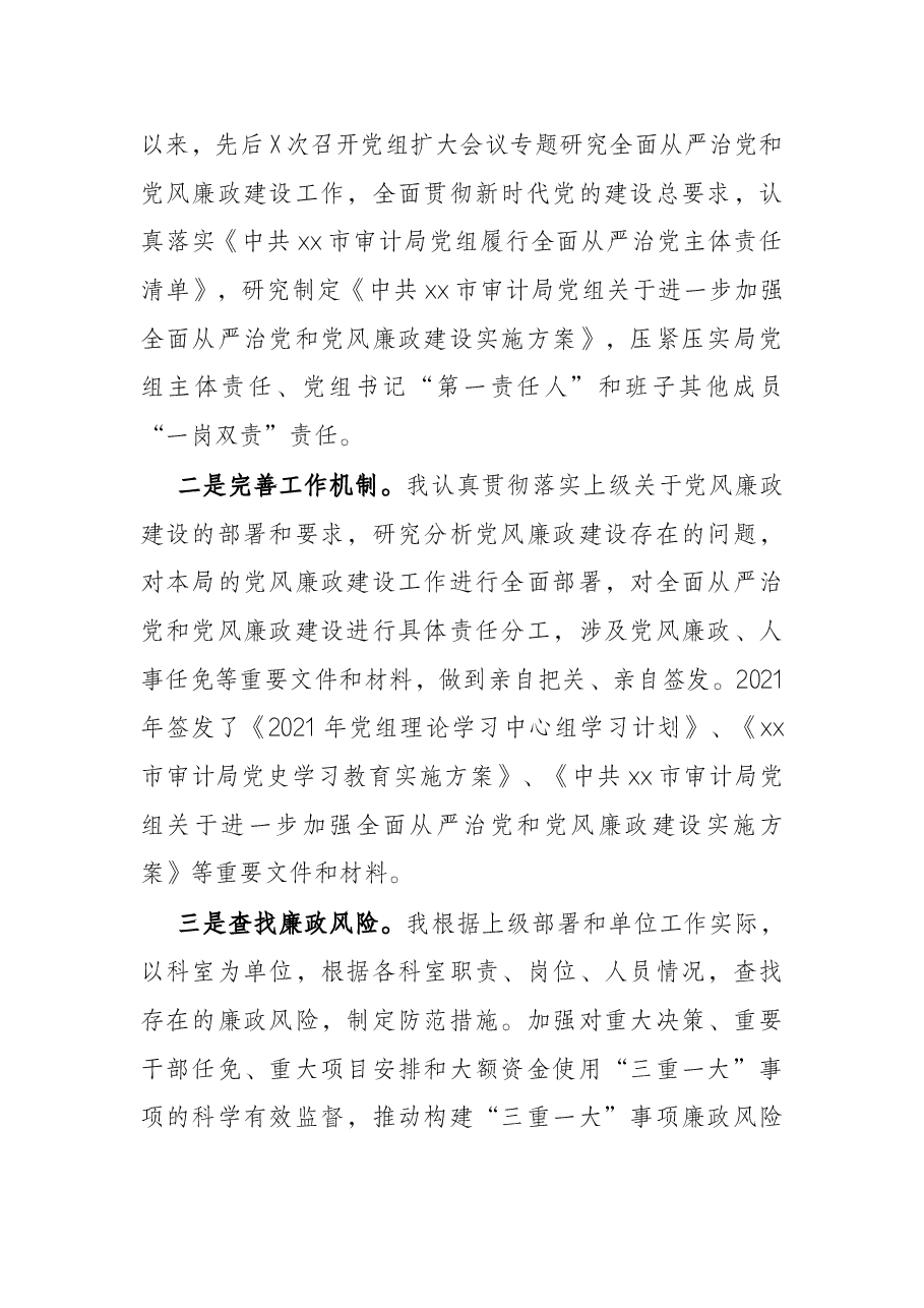 市审计局党组书记落实第一责任人责任情况报告.docx,第2页预览