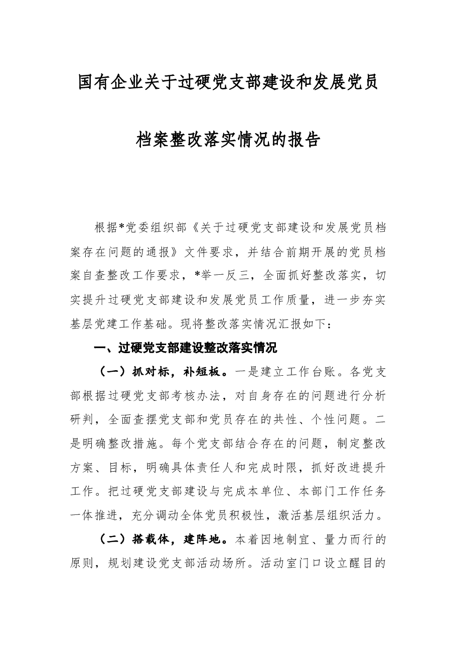 国有企业关于过硬党支部建设和发展党员档案整改落实情况的报告.docx,第1页预览