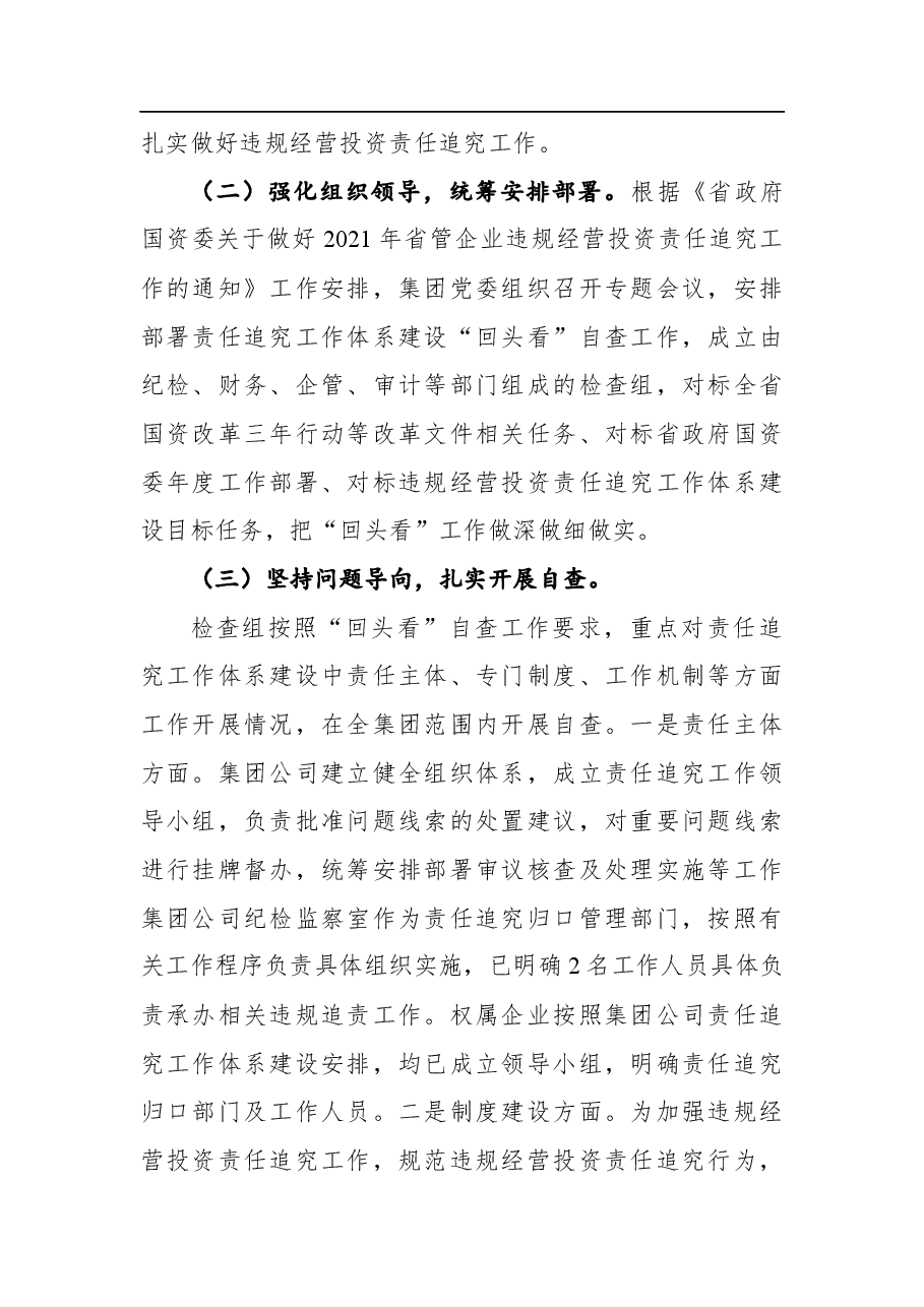 国企违规经营投资责任追究工作体系建设“回头看”自查报告.docx,第2页预览