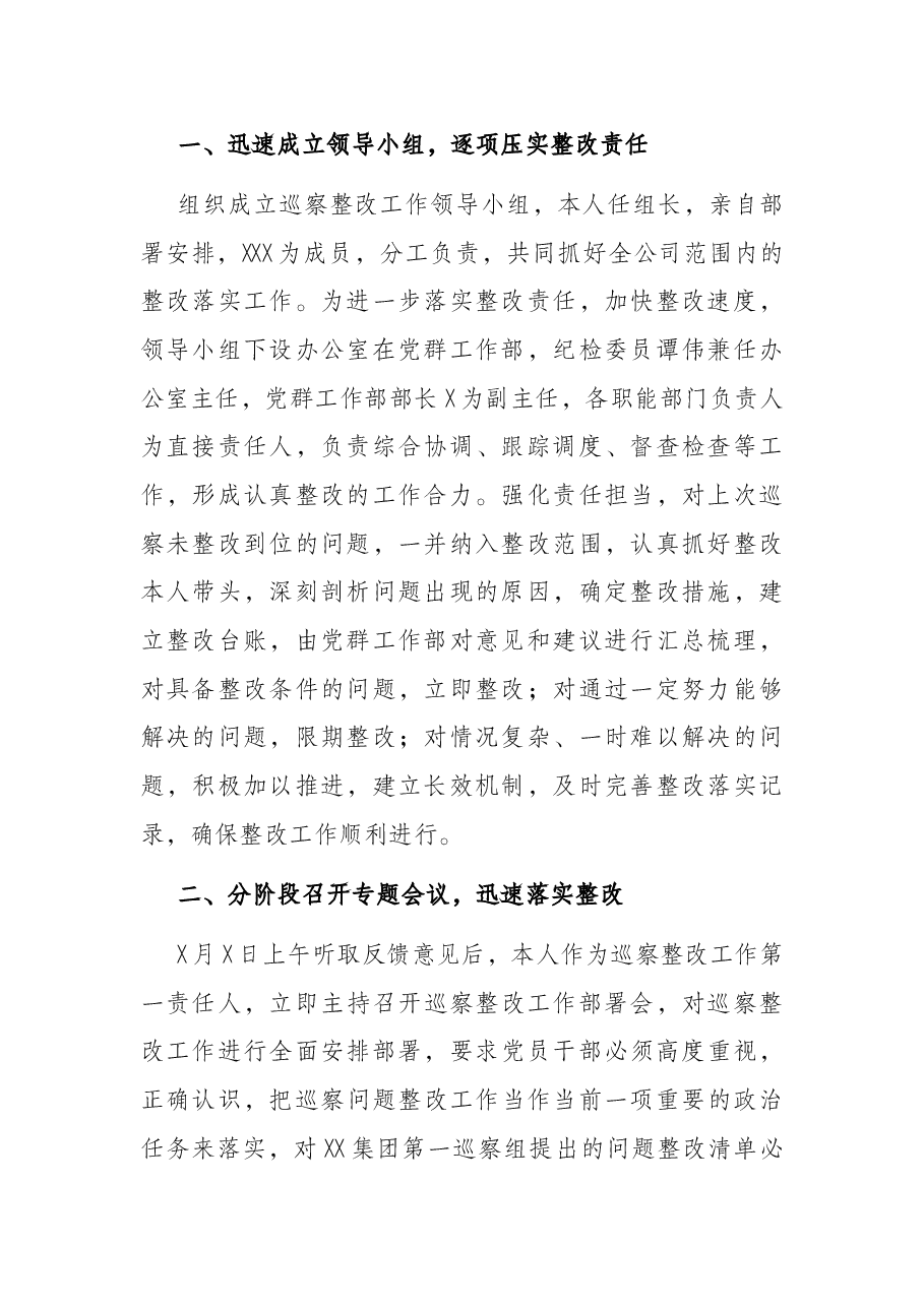 国企党支部主要负责人组织落实巡察整改工作情况报告.docx,第2页预览