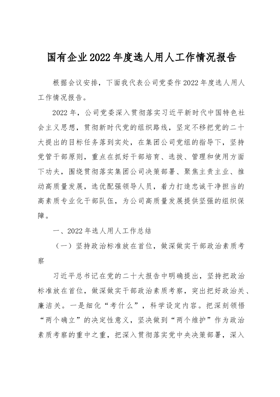 国有企业2022年度选人用人工作情况报告.docx,第1页预览