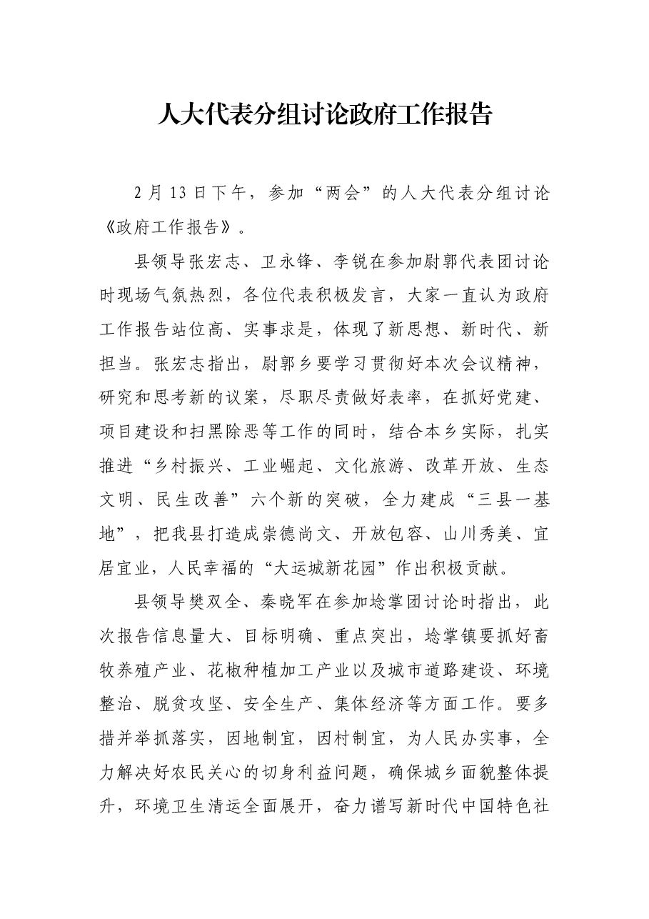 人大代表分组讨论政府工作报告.docx，第1页预览