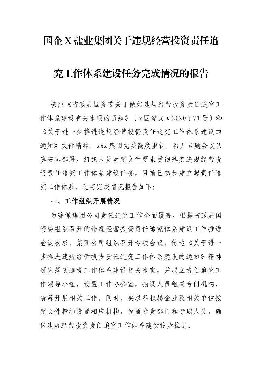 国企X盐业集团关于违规经营投资责任追究工作体系建设任务完成情况的报告.docx，第1页预览
