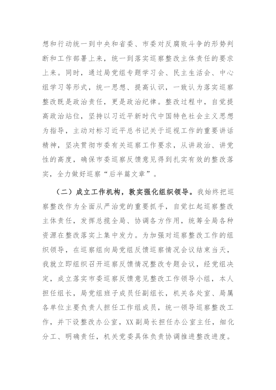 X市局党组书记组织落实市委巡察反馈意见整改工作报告.docx,第2页预览