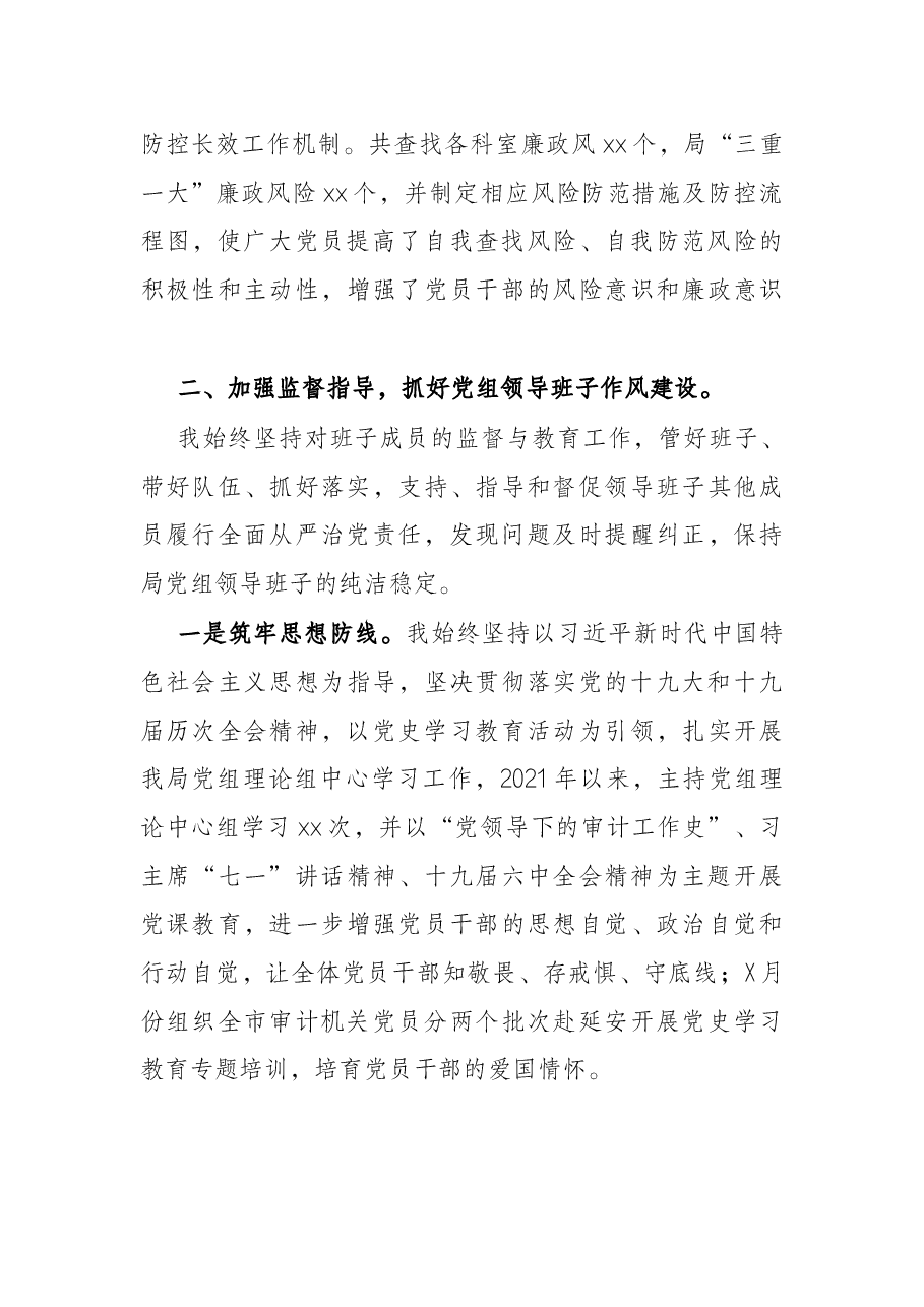 市审计局党组书记落实第一责任人责任情况报告.docx,第3页预览