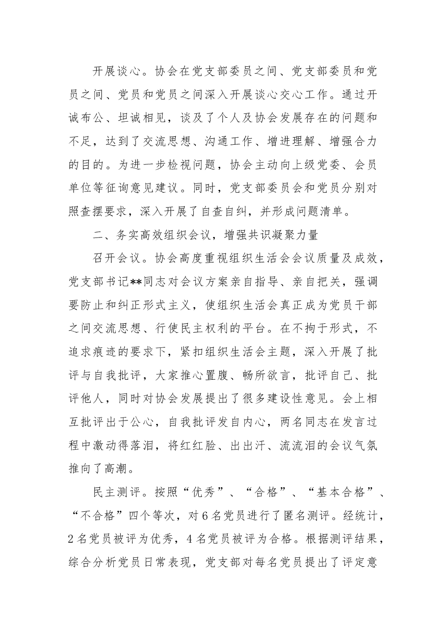 行业协会组织生活会和民主评议党员情况报告.docx,第2页预览