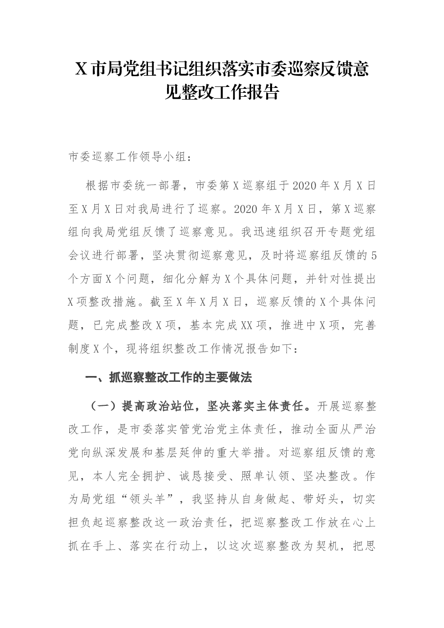 X市局党组书记组织落实市委巡察反馈意见整改工作报告.docx,第1页预览