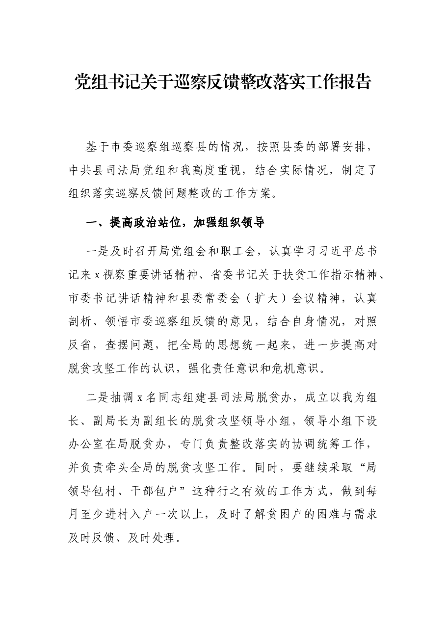 党组书记关于巡察反馈整改落实工作报告.docx,第1页预览