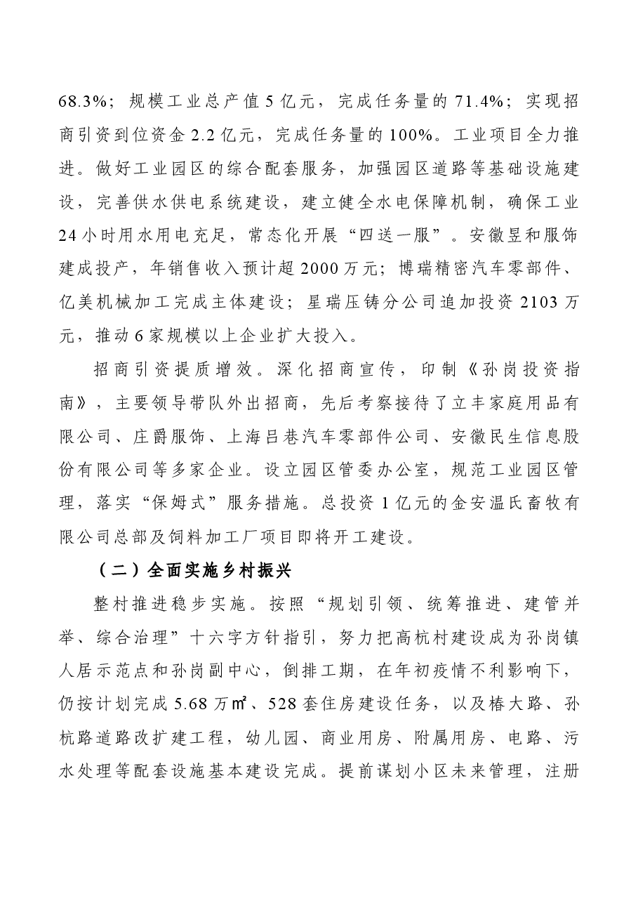 乡镇政府工作报告.docx,第2页预览