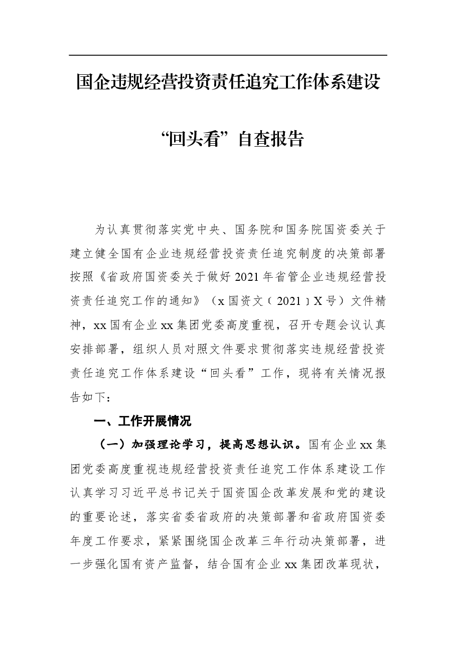 国企违规经营投资责任追究工作体系建设“回头看”自查报告.docx,第1页预览