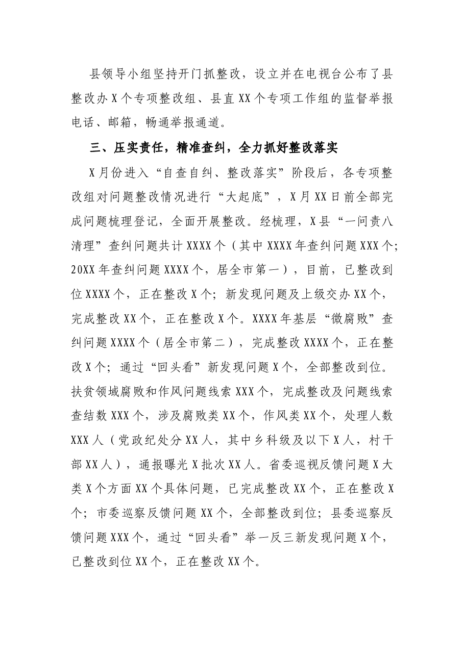 X县巡视整改“回头看”工作进展情况汇报.docx,第3页预览