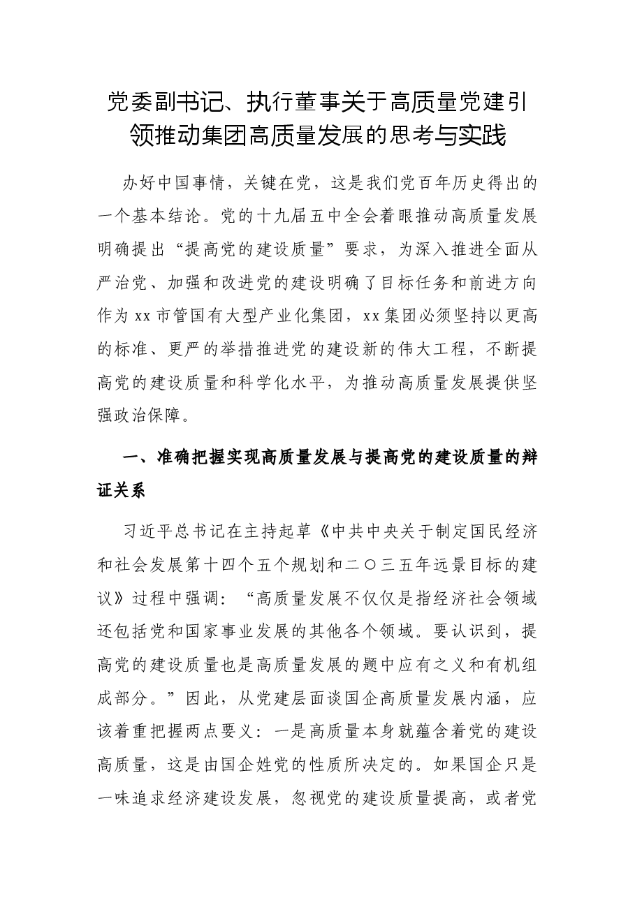 党委副书记、执行董事关于高质量党建引领推动集团高质量发展的思考与实践.docx，第1页预览