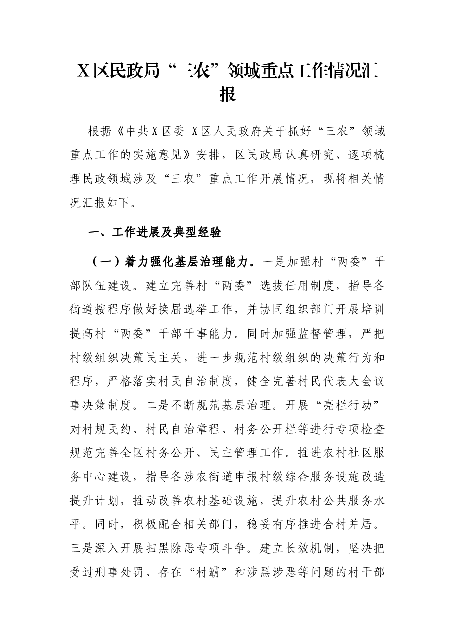 X区民政局“三农”领域重点工作情况汇报.docx,第1页预览