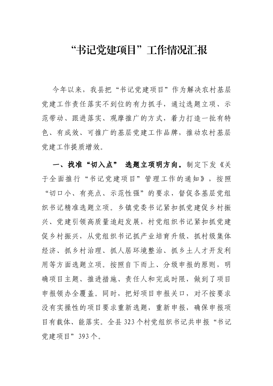 “书记党建项目”工作情况汇报.docx，第1页预览