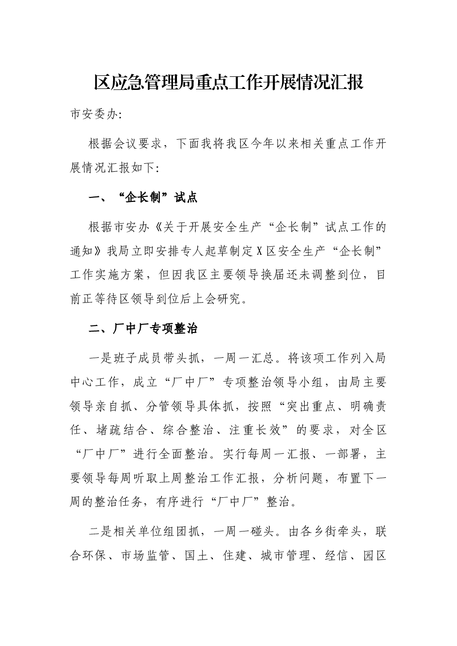 区应急管理局重点工作开展情况汇报.docx,第1页预览
