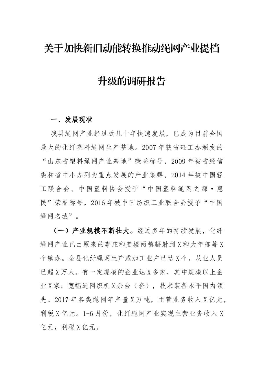 关于加快新旧动能转换推动绳网产业提档升级的调研报告.docx,第1页预览