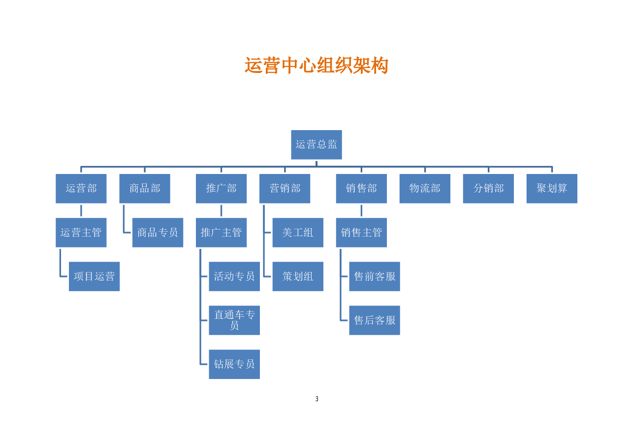 电子商务运营部企业组织结构及岗位职责.docx，第3页预览