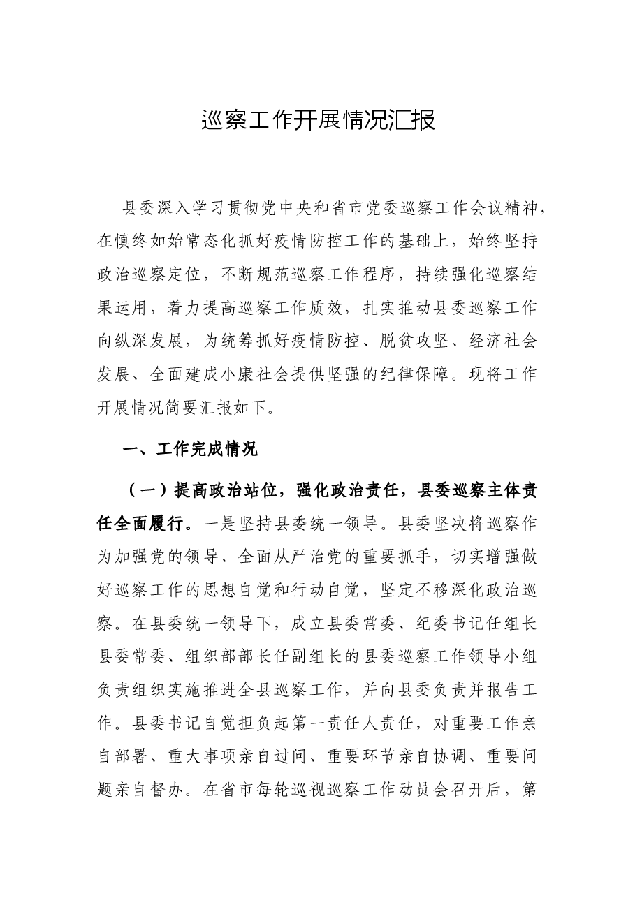 巡察工作开展情况汇报.docx,第1页预览