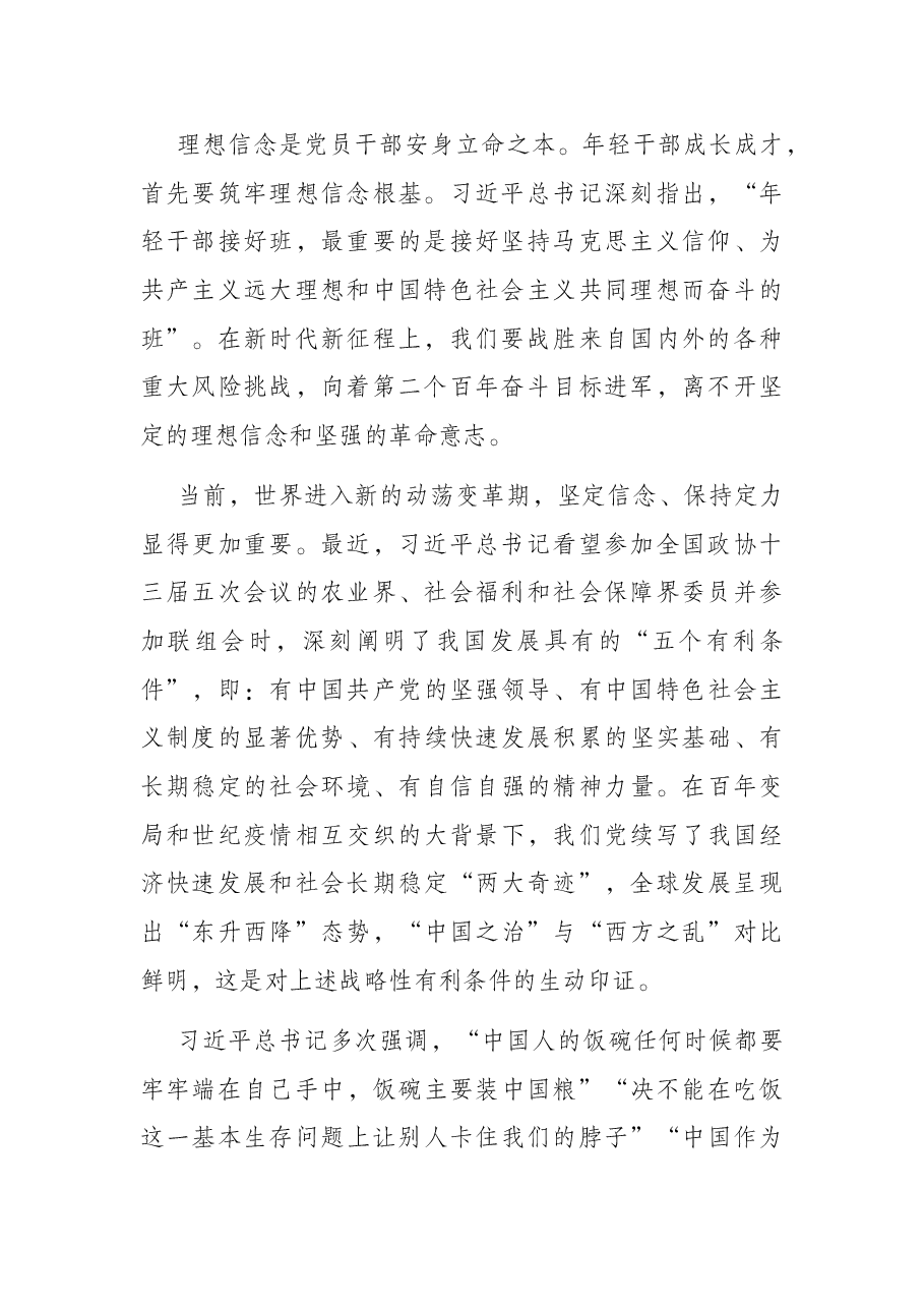 年轻干部专题党课:青春有为 奋斗无悔 守住拒腐防变防线.docx,第2页预览