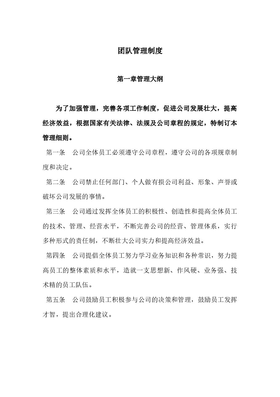 团队管理制度.docx,第1页预览