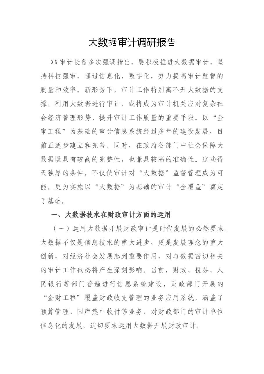大数据审计调研报告.docx,第1页预览