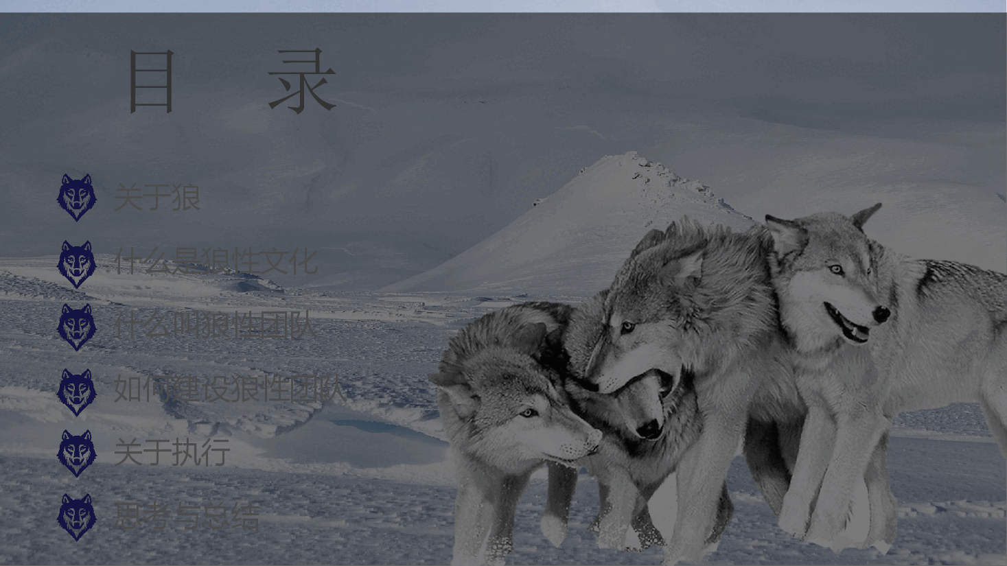狼性团队文化.pptx,第3页预览