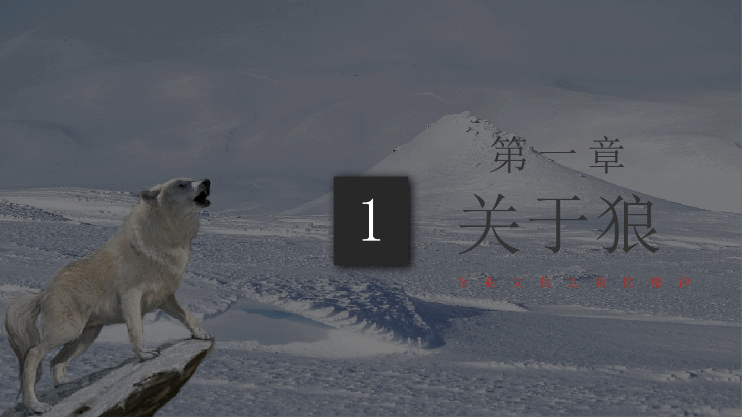 狼性团队文化.pptx,第4页预览