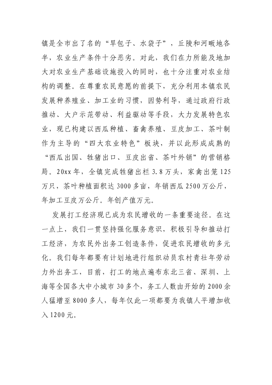 乡镇党委向市委书记的专题汇报材料.docx,第3页预览