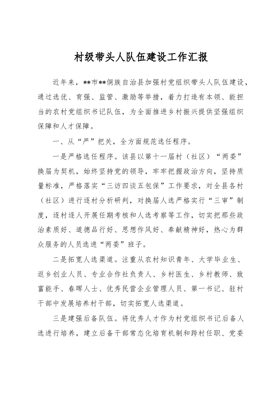 村级带头人队伍建设工作汇报.docx,第1页预览