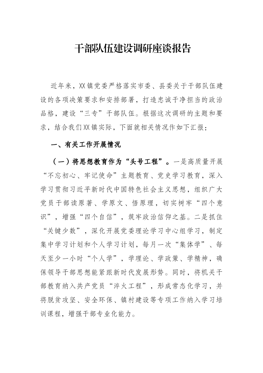 干部队伍建设调研座谈报告.docx,第1页预览