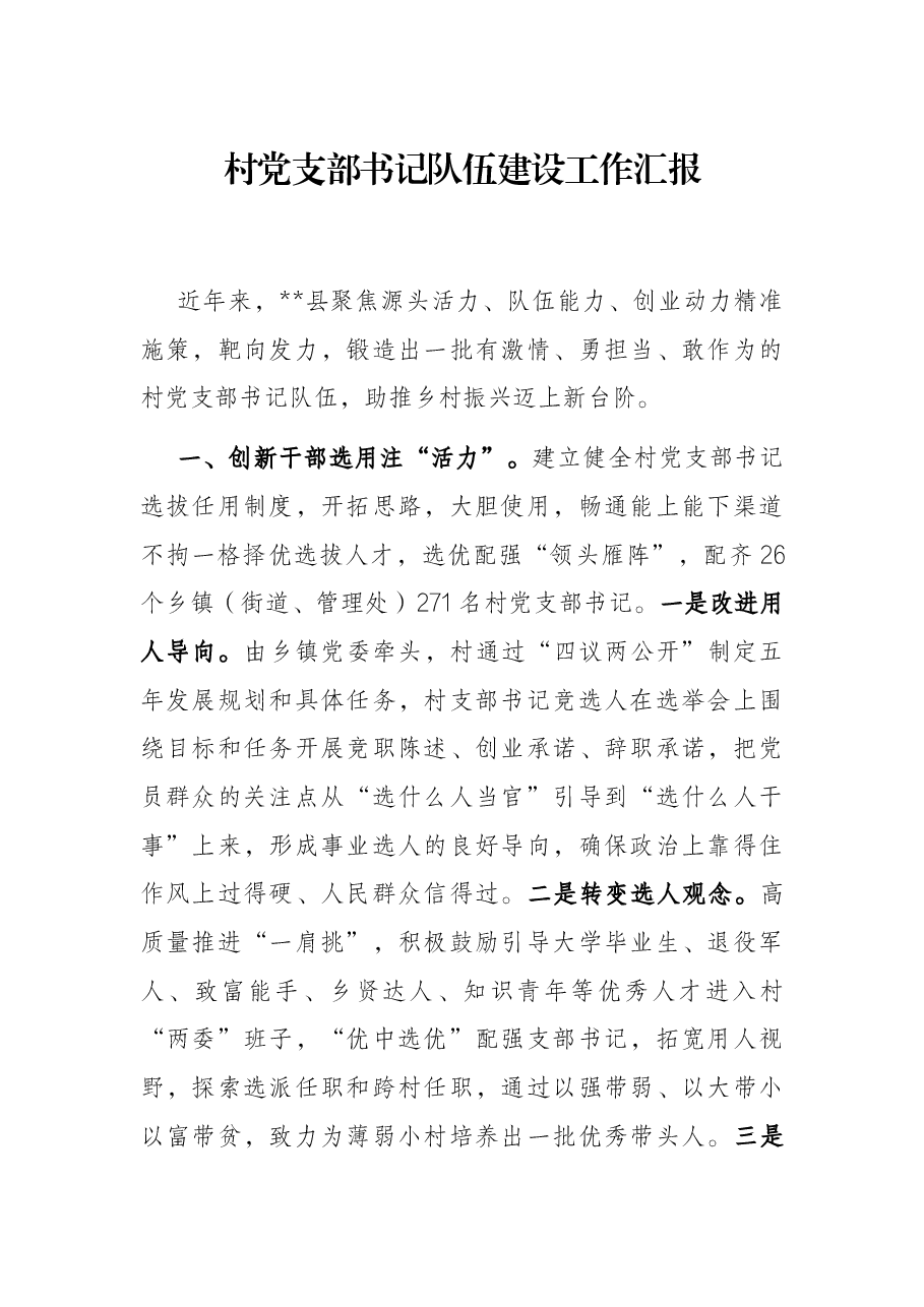 村党支部书记队伍建设工作汇报.docx,第1页预览