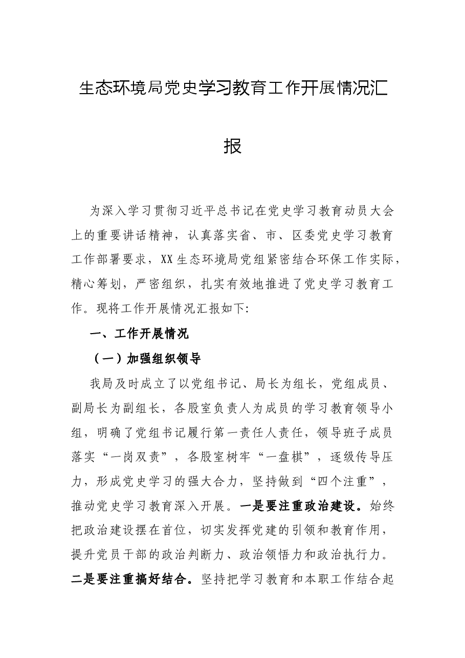 生态环境局党史学习教育工作开展情况汇报.docx,第1页预览