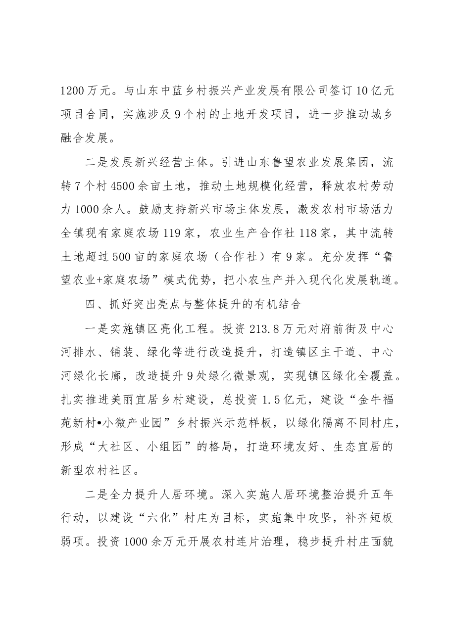 镇党委乡村振兴工作汇报.docx,第3页预览