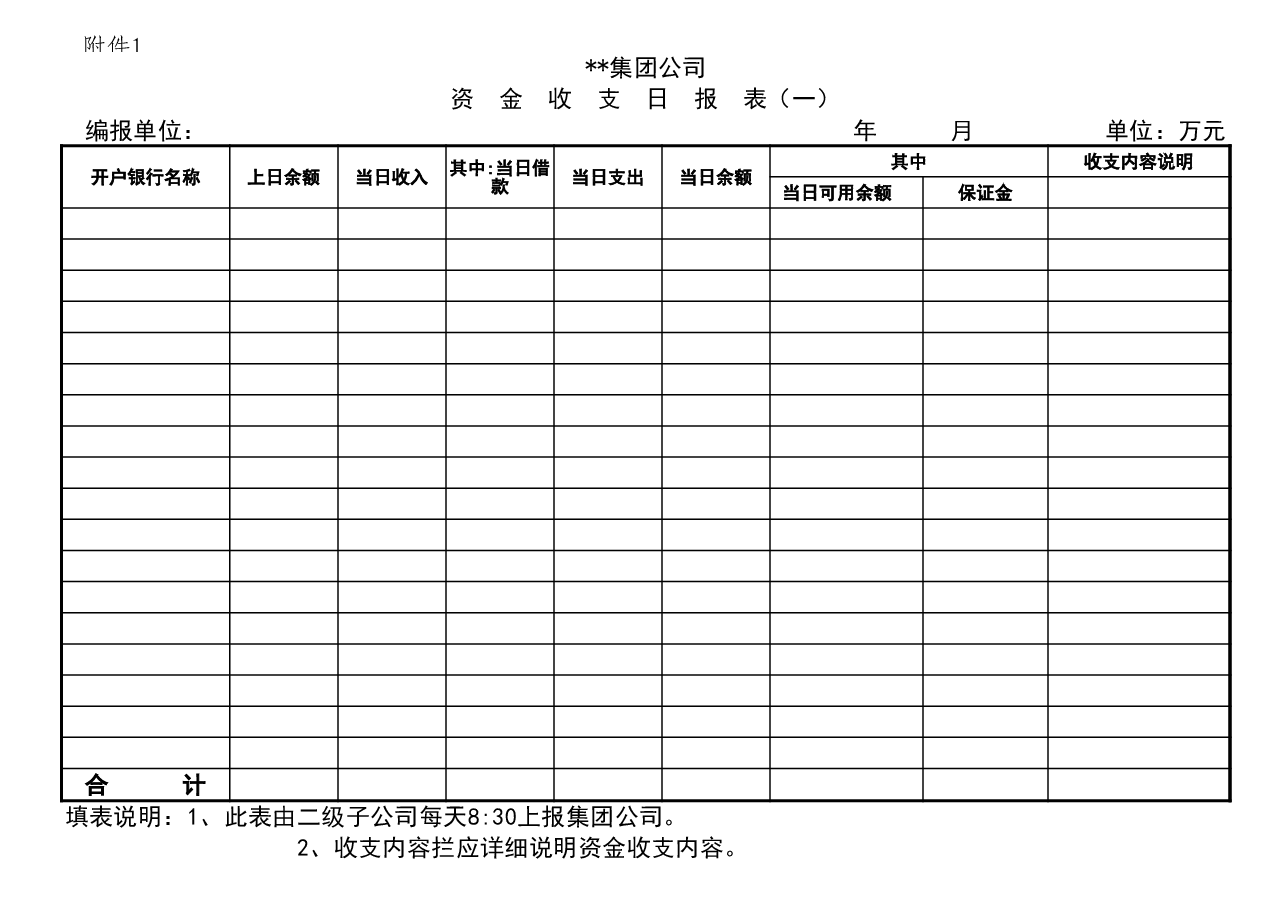 参考工具:子公司资金报表格式.xls,第1页预览