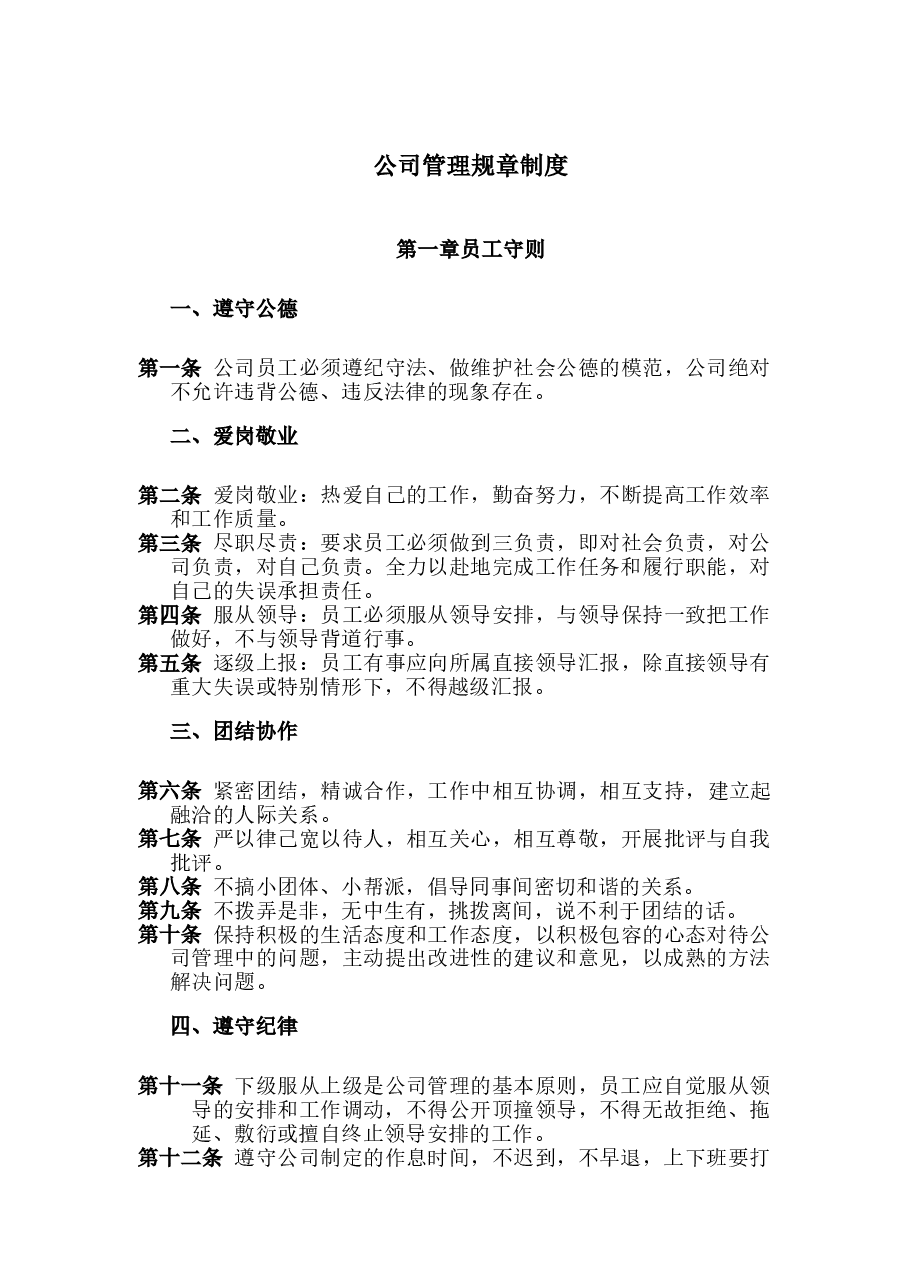 公司管理规章制度.doc，第1页预览