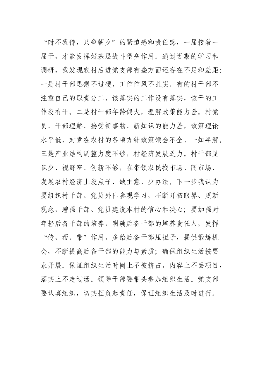 基层党支部书记党史学习教育专题党课.docx,第3页预览