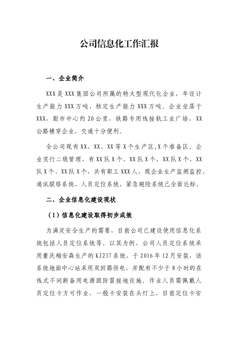 公司信息化工作汇报.docx,第1页预览