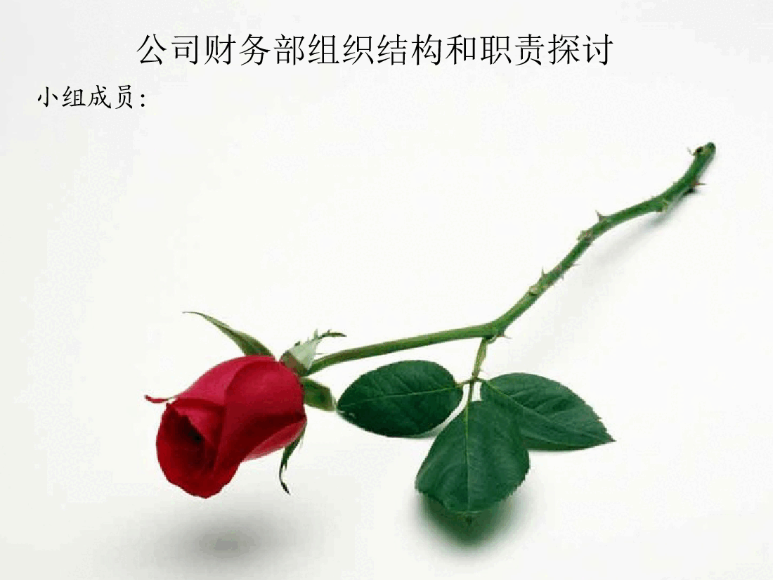 企业财务部门组织架构图.ppt,第1页预览