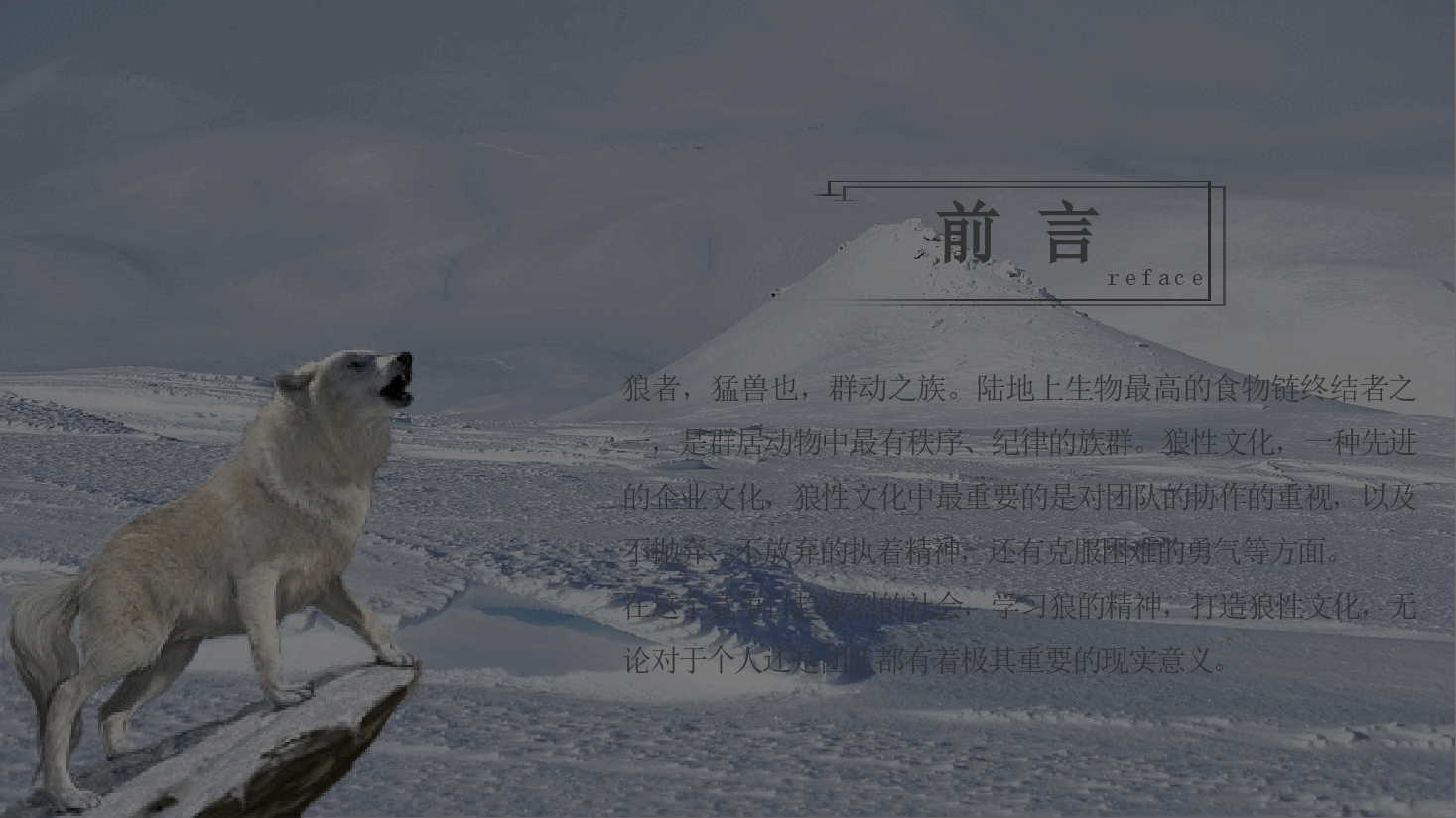 狼性团队文化.pptx,第2页预览