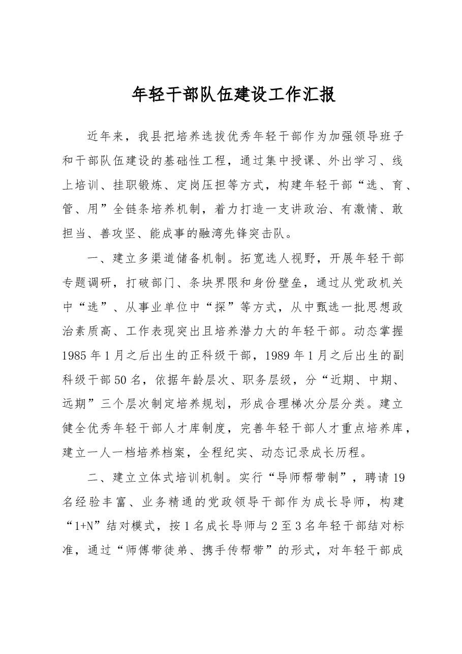 年轻干部队伍建设工作汇报.docx,第1页预览
