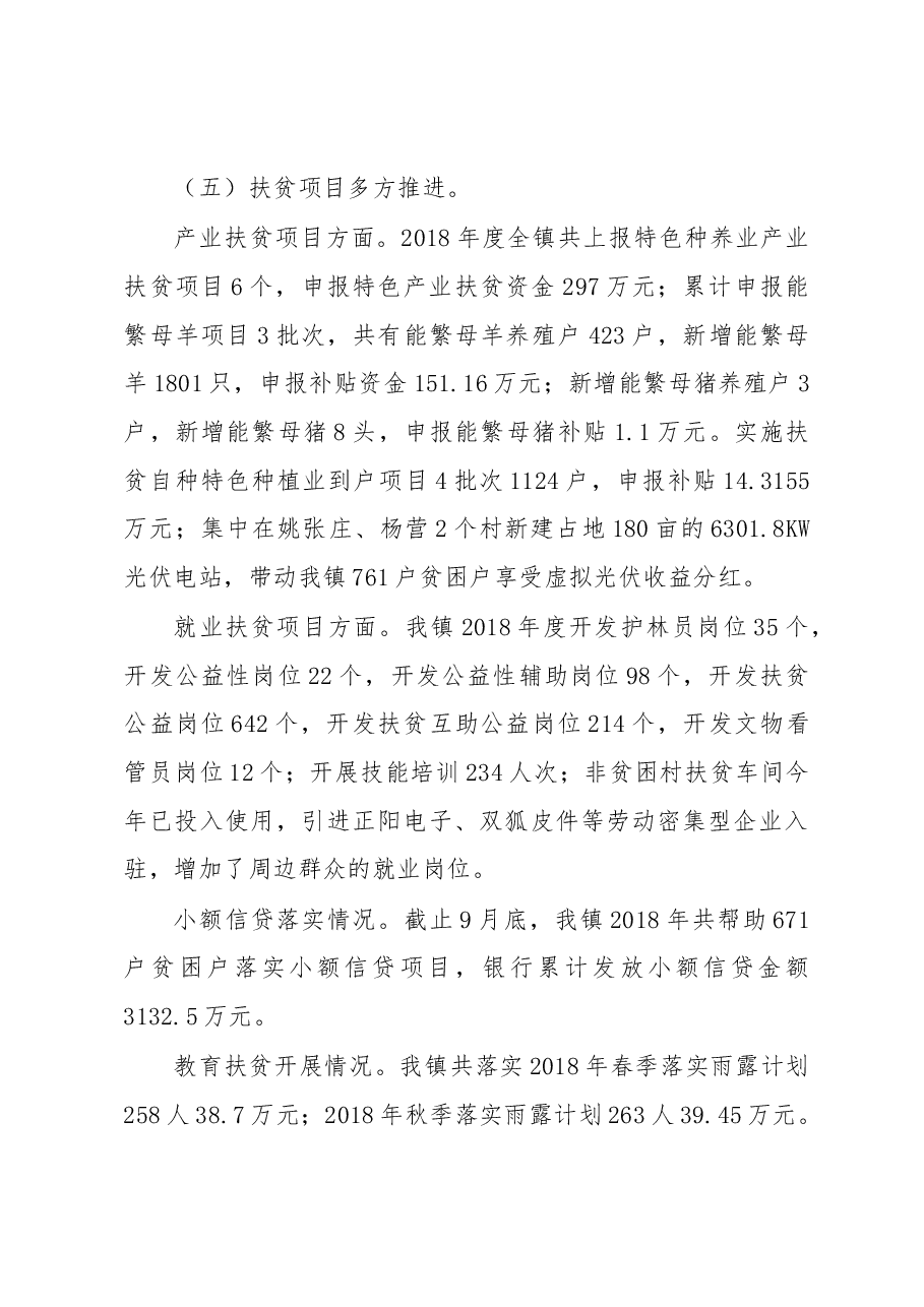 鲖城镇2018年度扶贫工作汇报.docx,第3页预览