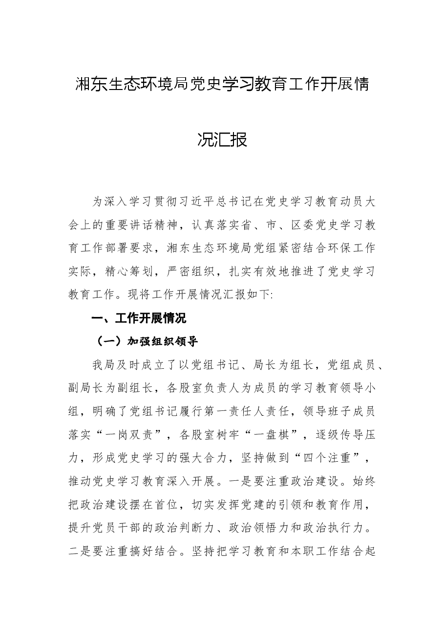 湘东生态环境局党史学习教育工作开展情况汇报.docx,第1页预览