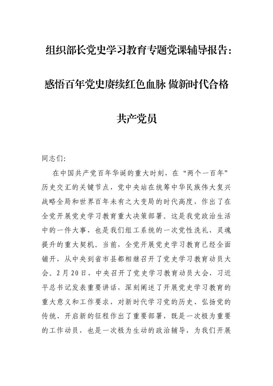 组织部长党史学习教育专题党课辅导报告:感悟百年党史赓续红色血脉 做新时代合格共产党员.docx,第1页预览