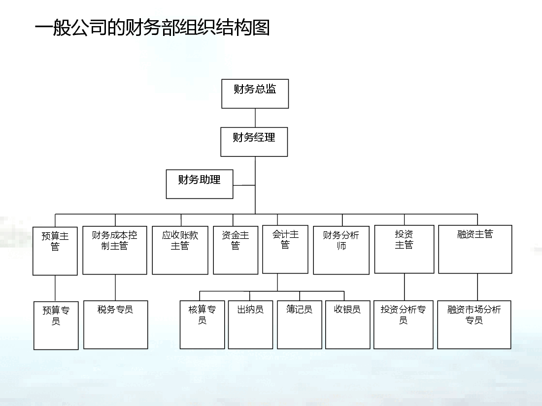 企业财务部门组织架构图.ppt,第2页预览