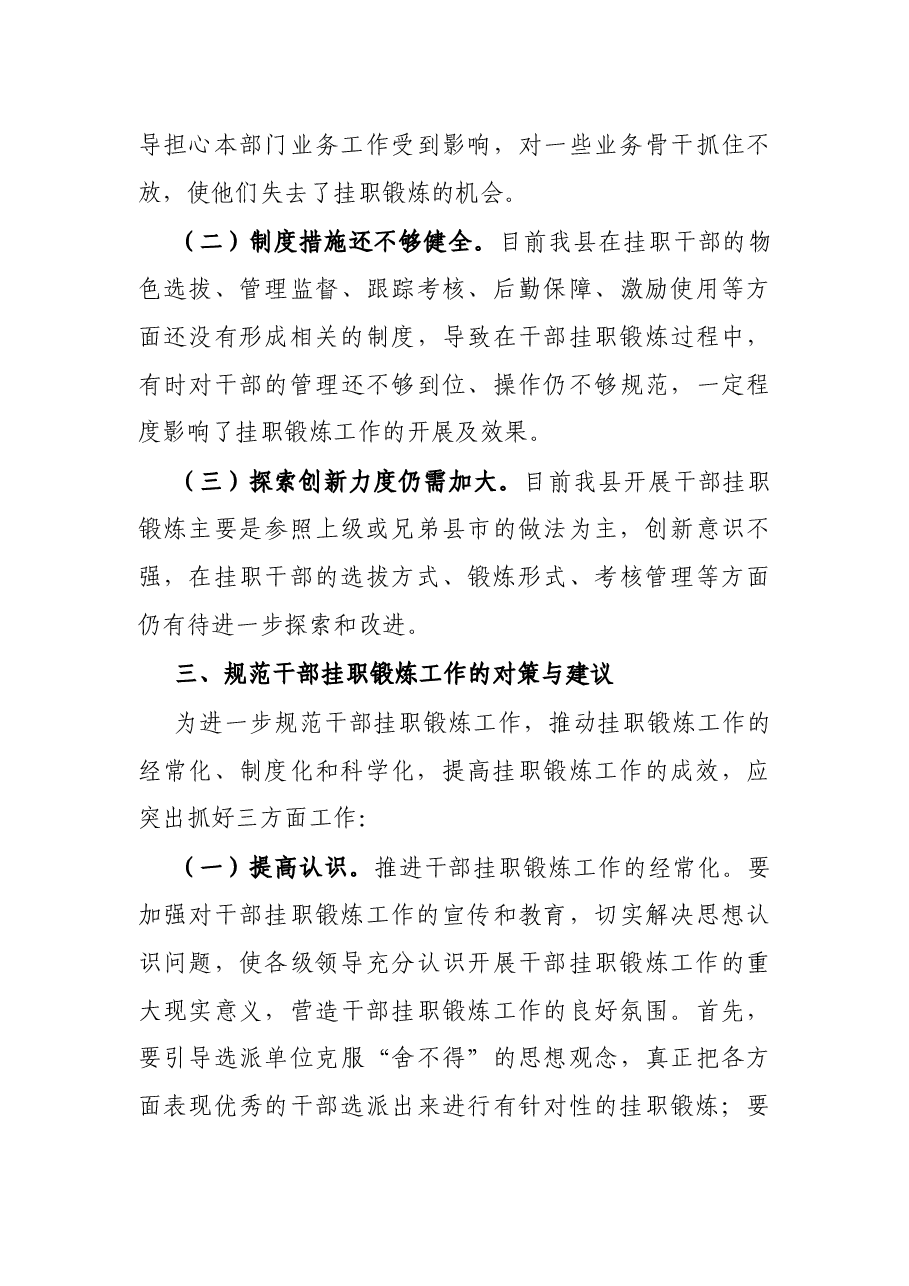 挂职干部工作调研报告.docx,第3页预览