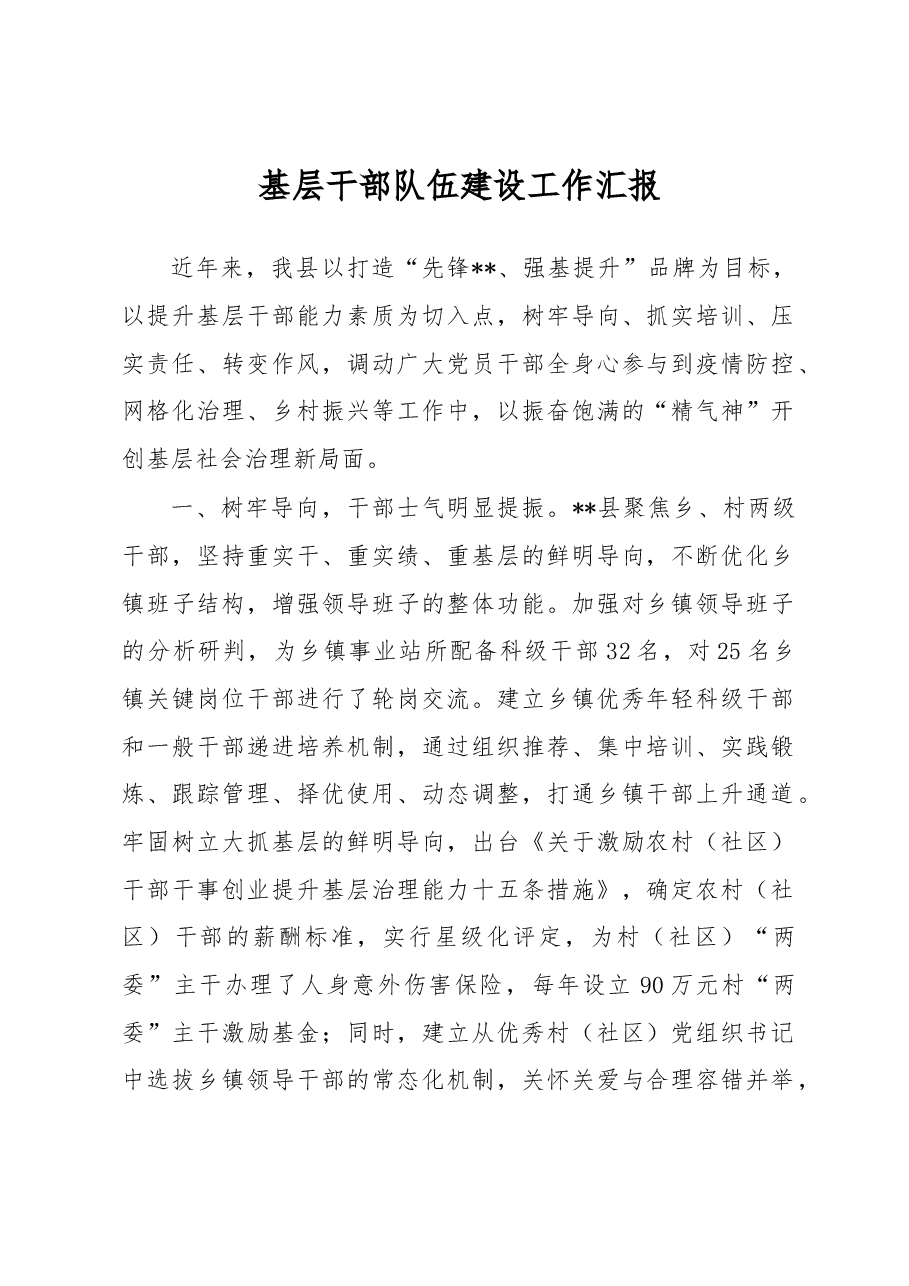 基层干部队伍建设工作汇报.docx,第1页预览